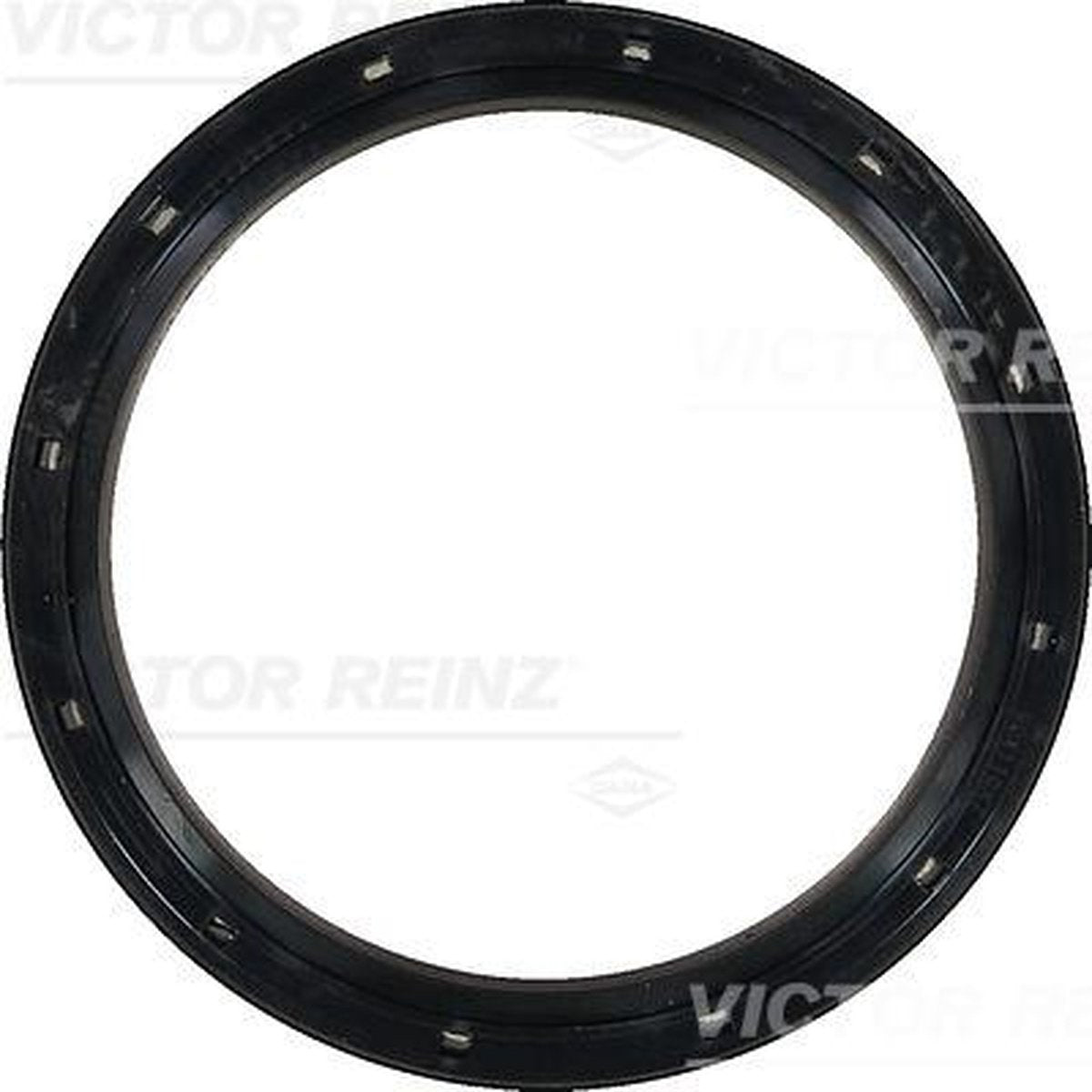 Victor Reinz Rear Main Seal 81-36556-00