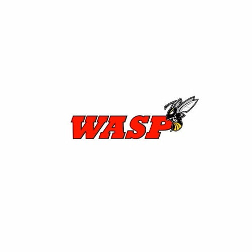 WASP Ball Joint Front Lower WBJ918